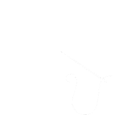 Rogue City Renegades